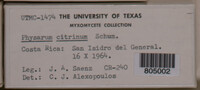 Image Associated With the Occurence